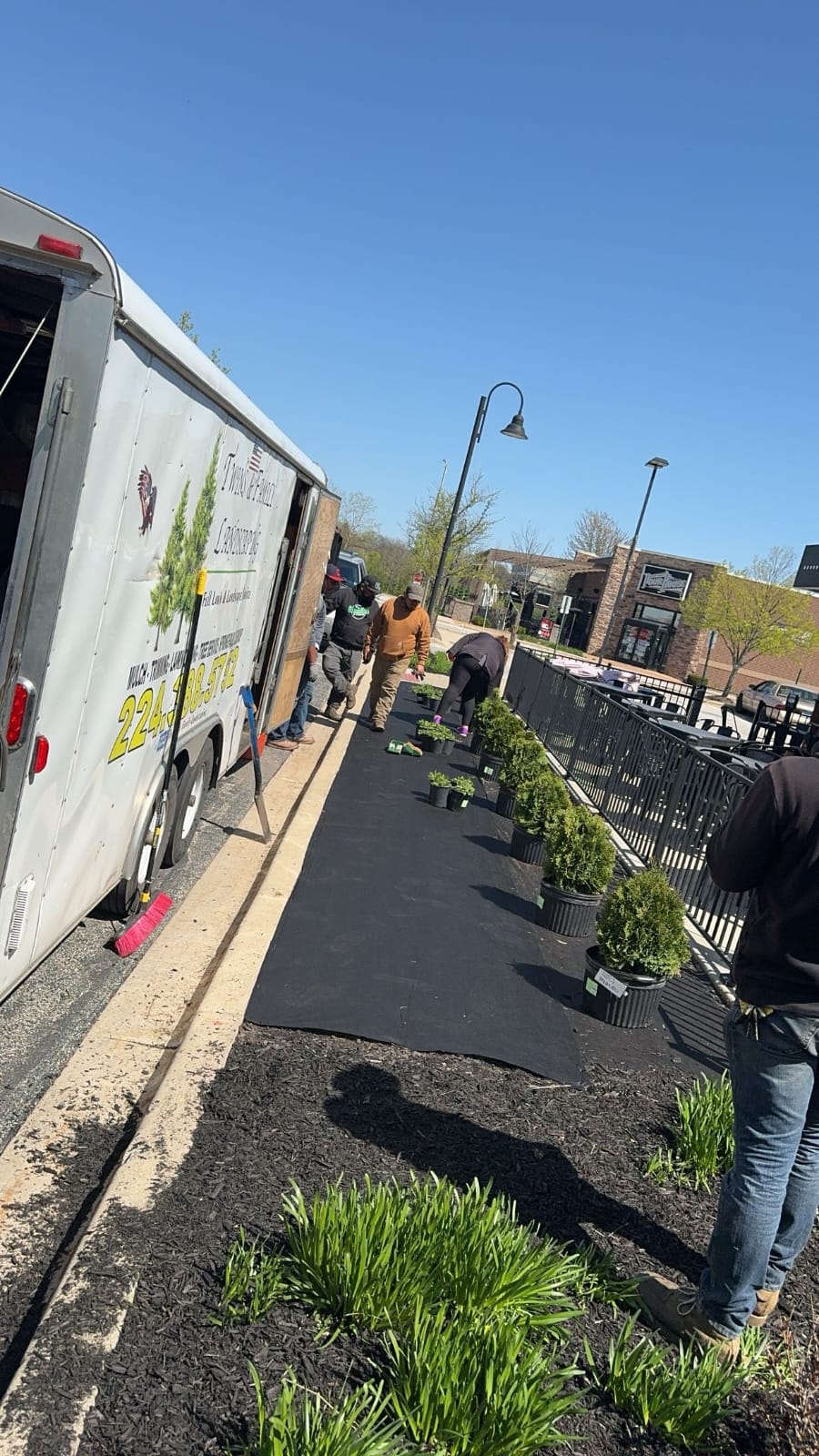 Ornamentals beds care