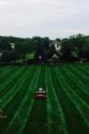 lawn-cutting