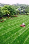 lawn-cutting
