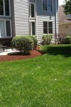 lawn-cutting