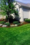 mulch