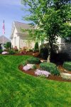 mulch