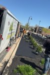 planting